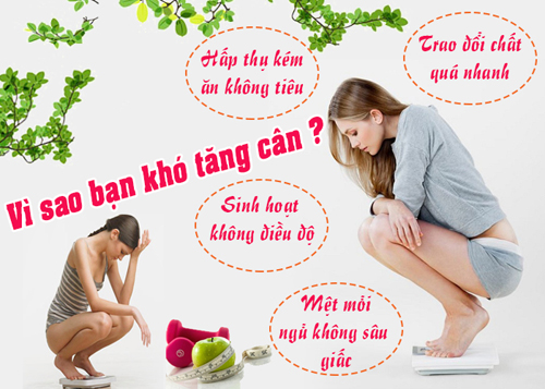 Ăn gì nhanh tăng cân